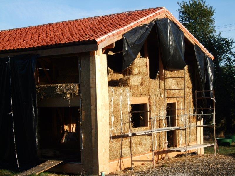 Dalle bois, Ménigoute (79)